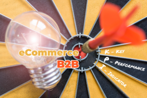 KPI eCommerce B2B