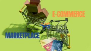 Marketplace Vs Ecommerce